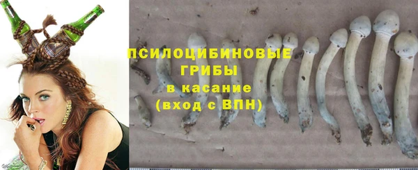 спайс Великий Новгород