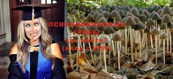 спайс Великий Новгород