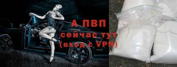 спайс Великий Новгород