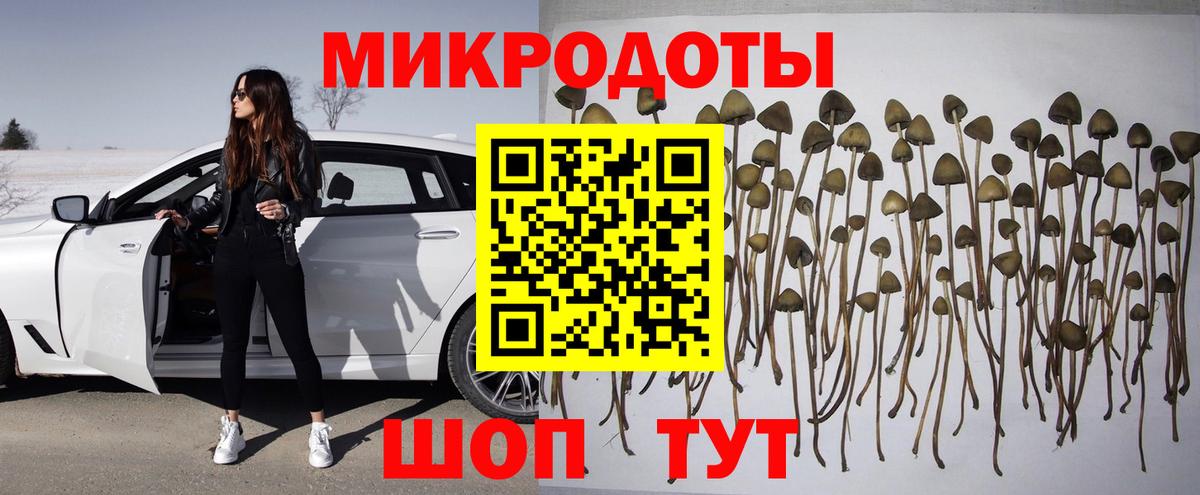 Галлюциногенные грибы MAGIC MUSHROOMS Богородицк