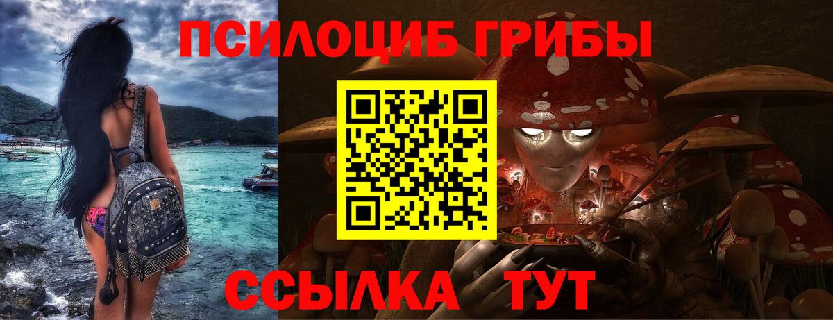 Галлюциногенные грибы мицелий  Галлюциногенные грибы ЛСД  Богородицк 