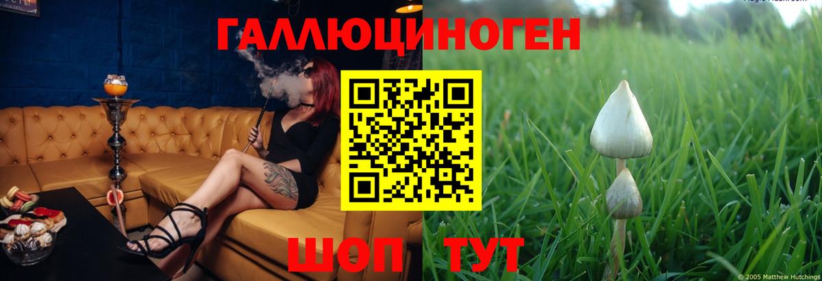 Псилоцибиновые грибы Magic Shrooms Богородицк